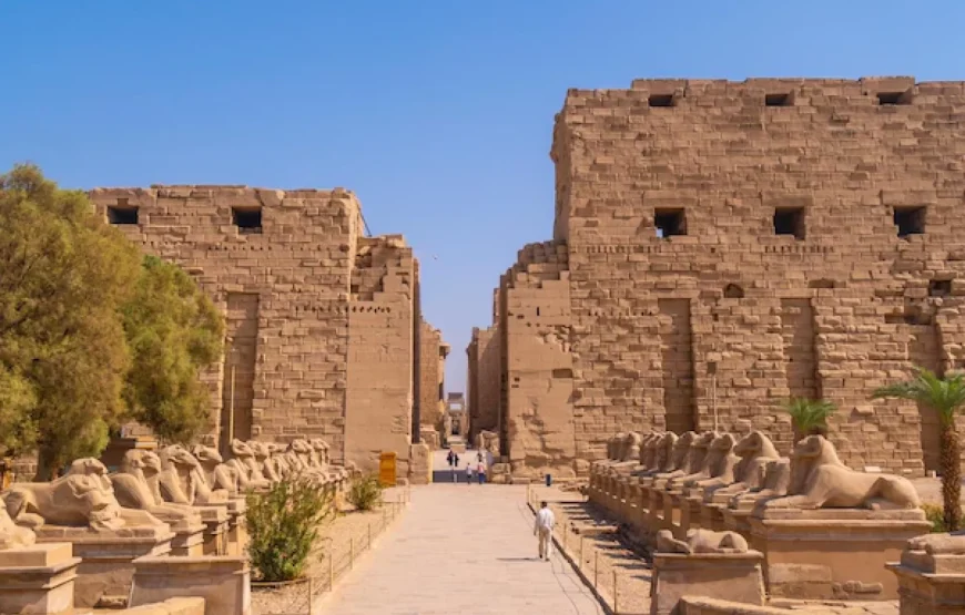 Tour to the East Bank of Luxor