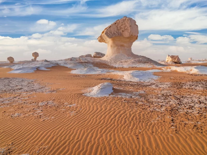 Bahariya Oasis