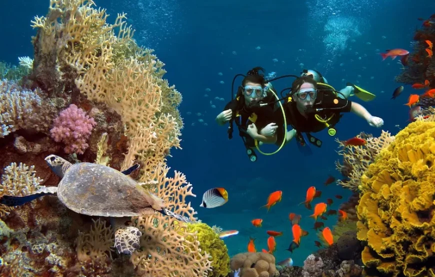 Hurghada Scuba diving